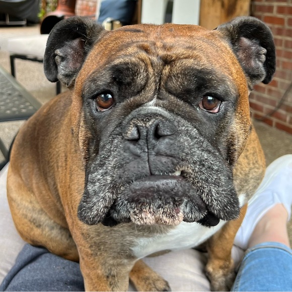 Meet your Posher, Maria - Picture 3 of 3